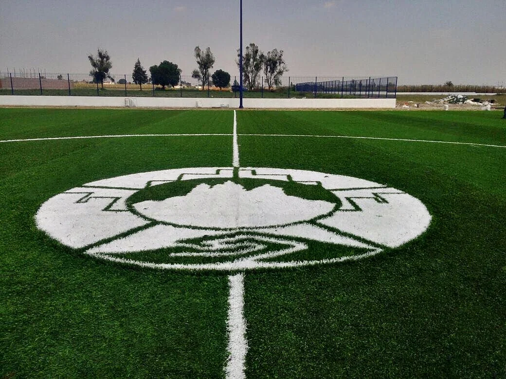Escudo blanco circular insertado en pasto sintético en el círculo central de una cancha de fútbol