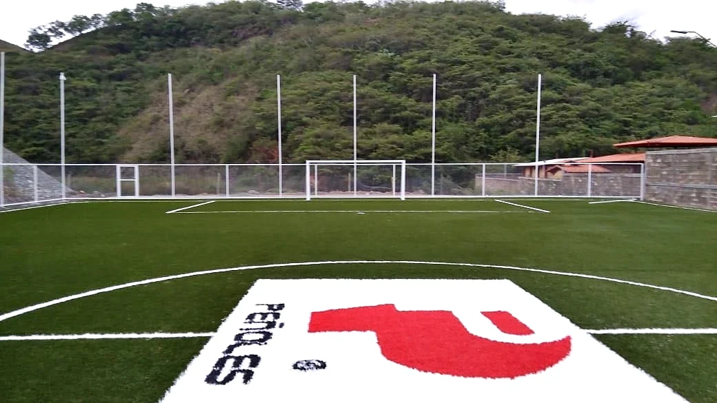 Logotipo Peñoles insertado en pasto sintético en la cancha de fútbol 7 de la Mina Rey de Plata, Teloloapan, Guerrero, con cerros al fondo