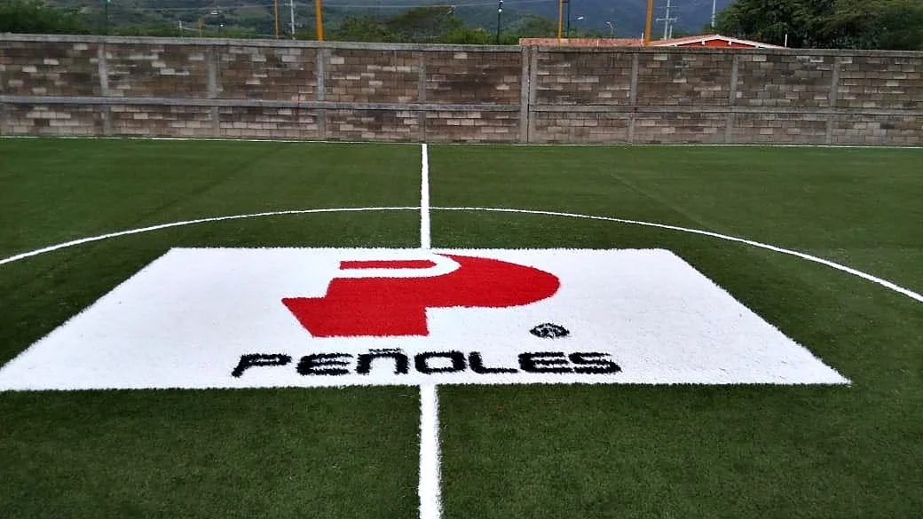 Logotipo Peñoles insertado en pasto sintético, vista frontal con la barda de la mina al fondo