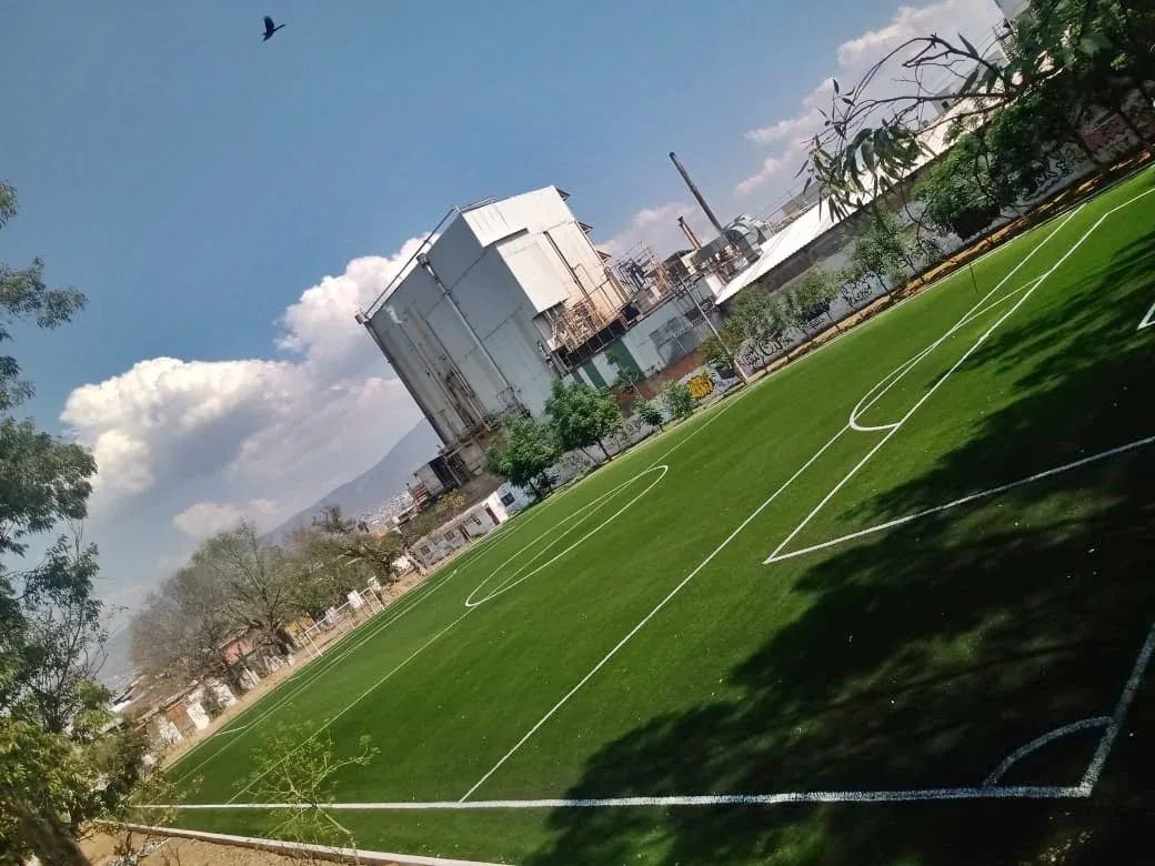 Vista en diagonal de la cancha de soccer con pasto sintético y media luna del área en el Deportivo IMDE, Morelia, Michoacán