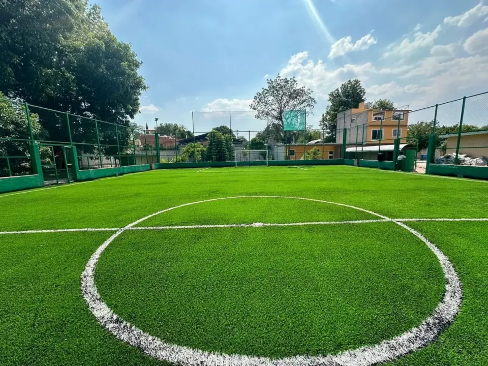 Pasto sintético en Pachuca e Hidalgo: Cancha de fútbol 7 en la Cancha los Pavorreales, Tecozautla