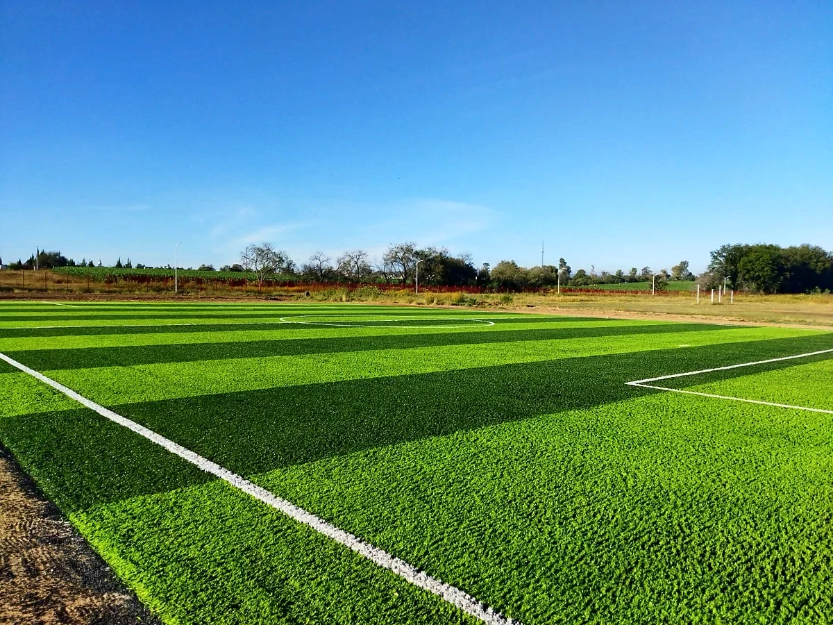 Cancha de fútbol 7 con pasto sintético en Instituto Tecnológico de Pabellón de Arteaga, Aguascalientes: líneas de juego insertadas en el mismo pasto