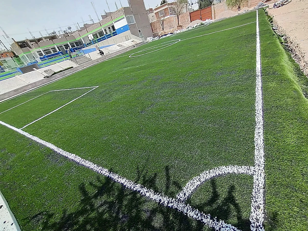 Cancha de fútbol 7 con pasto sintético en Instituto Tesla, Aguascalientes