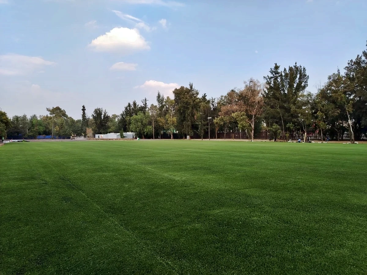 Área verde con pasto sintético en Iztacalco, Ciudad de México: pasto sintético instalado