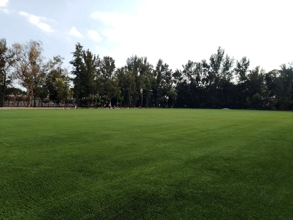 Área verde con pasto sintético en Iztacalco, Ciudad de México: vista del jardín