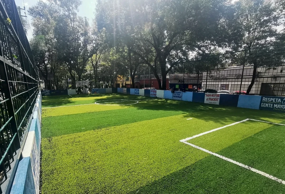 Cancha de fútbol 5 con pasto sintético en Parque Lineal Barranda del Muerto, Álvaro Obregón, Ciudad de México: la cancha desdel fondo