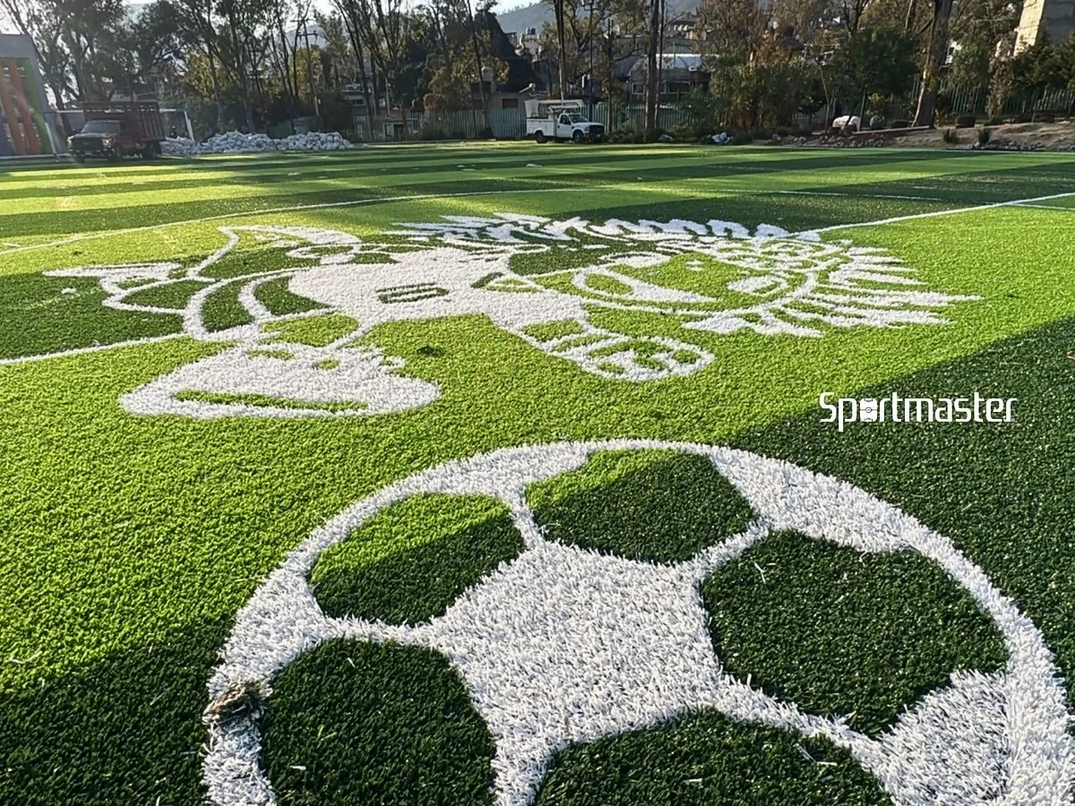 Cancha de fútbol 7 con pasto sintético en Deportivo El Vivero Coautepec, Gustavo A. Madero