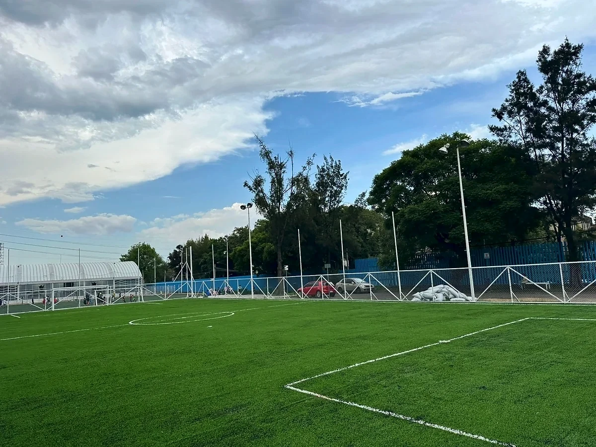 Cancha de fútbol 7 con pasto sintético en Deportivo Gran Libertador, Miguel Hidalgo, Ciudad de México: líneas de juego insertadas en el mismo pasto