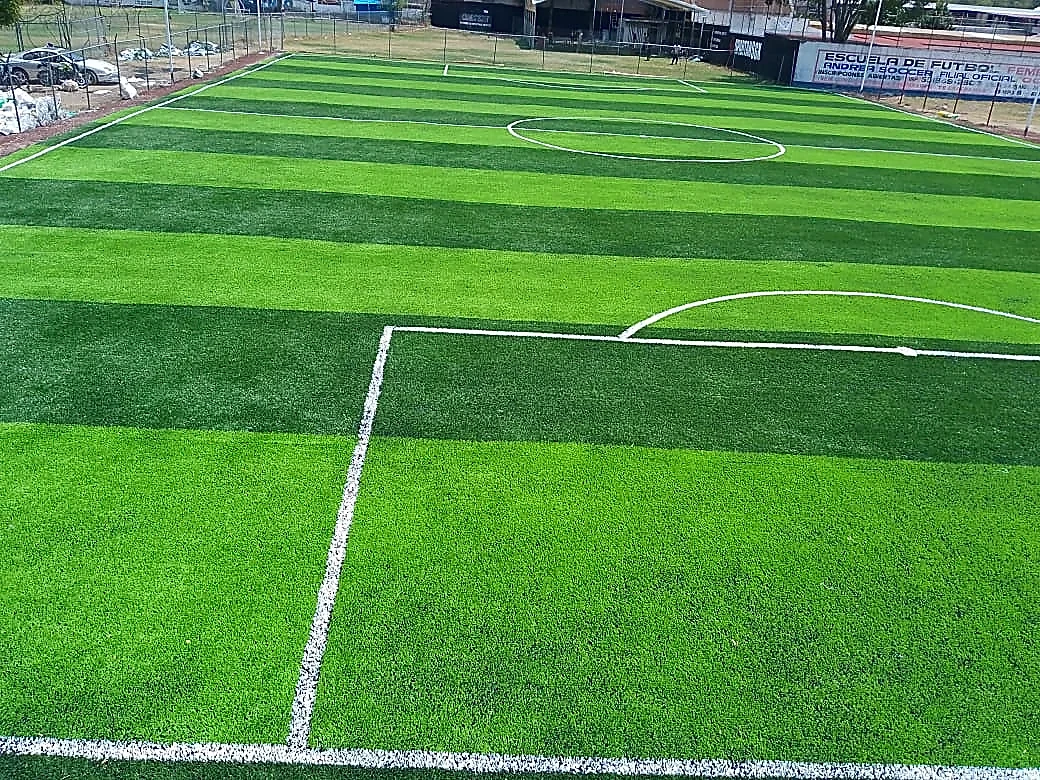 Cancha de fútbol 7 con pasto sintético en Deportivo Oceanía, Venustiano Carranza, Ciudad de México: líneas de juego insertadas en el mismo pasto