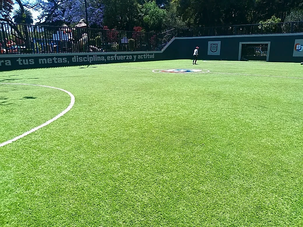 Cancha de fútbol rápido con pasto sintético en Benito Juárez, Ciudad de México: vista de la cancha y su entorno