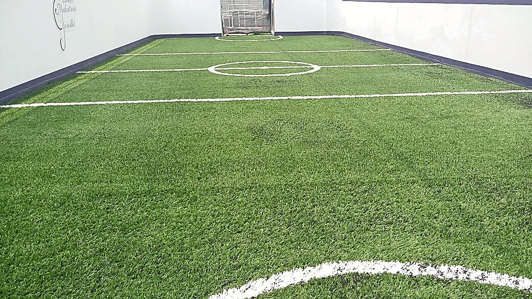 Cancha de fútbol rápido con pasto sintético en Coyoacán, Ciudad de México: otra vista de la cancha
