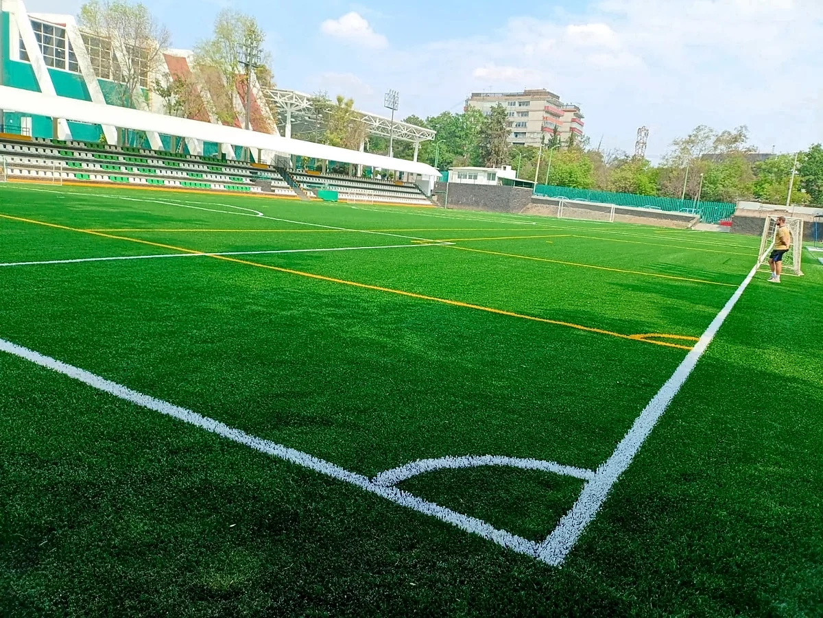 Cancha de fútbol soccer con pasto sintético en Unidad Deportiva Independencia, Magdalena Contreras, Ciudad de México: vista de la cancha y su entorno