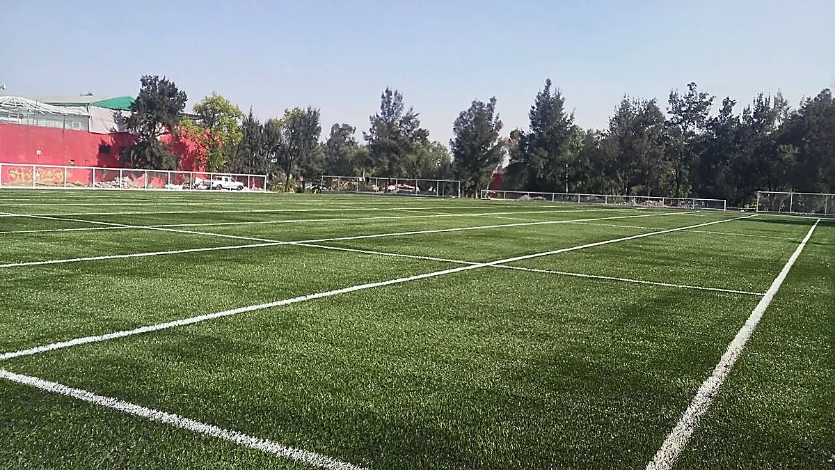 Área de tiro al blanco con pasto sintético con pasto sintético en Deportivo Siervo de la Nación, Ecatepec, Estado de México: otra vista del área