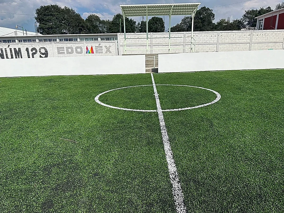 Cancha de fútbol rápido con pasto sintético en Deportivo Techuchulco, San Pedro Techuchulco, Estado de México: otra vista de la cancha