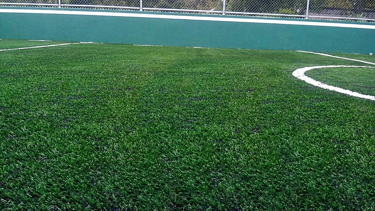 Cancha de fútbol rápido con pasto sintético en Ecatzingo, Estado de México: líneas de juego insertadas en el pasto