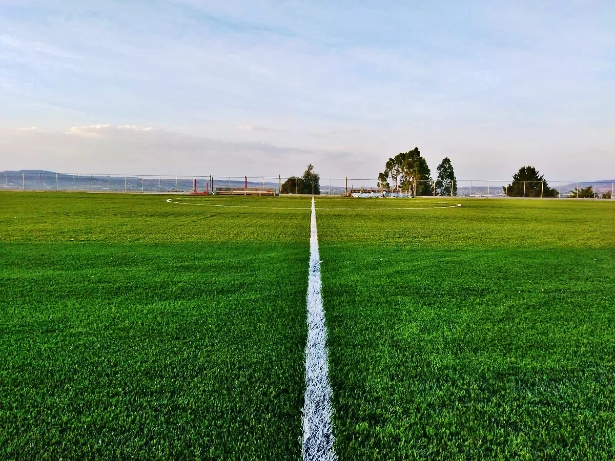 Cancha de fútbol soccer con pasto sintético en Campo de Futbol San José Ixtapa, Temascalcingo, Estado de México: la cancha desde la línea lateral