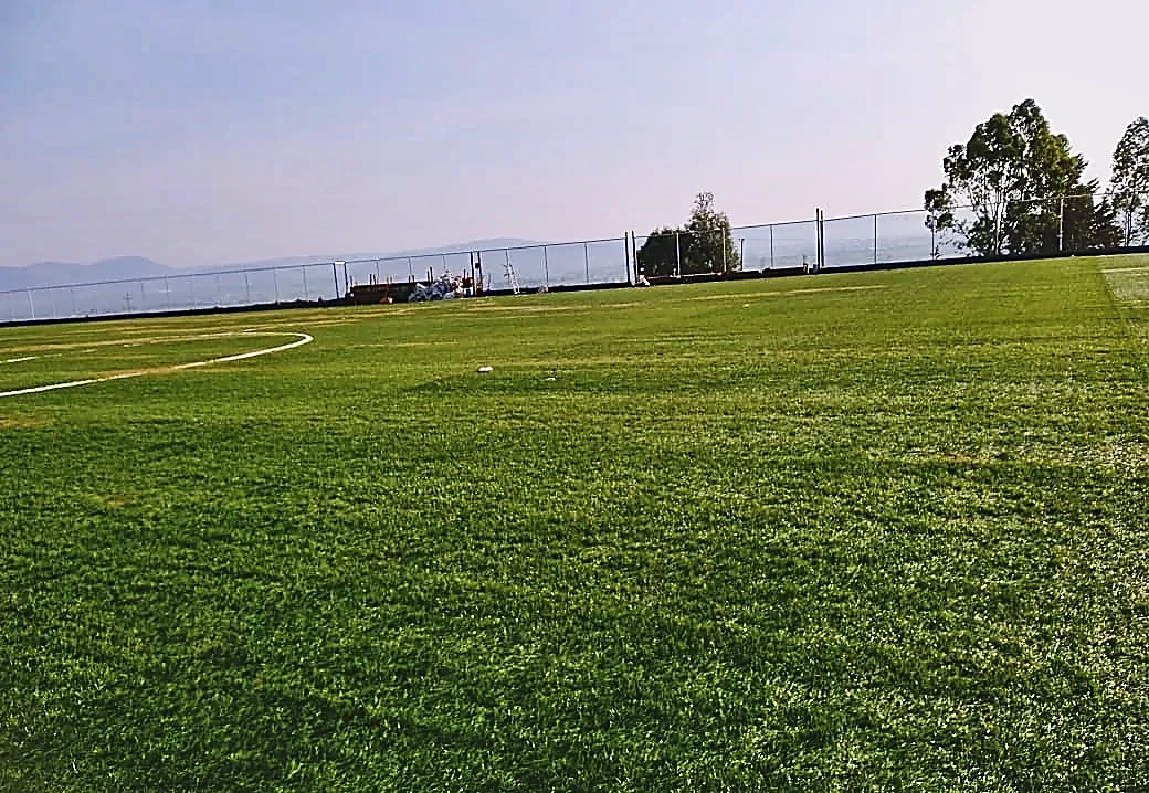 Detalle del pasto sintético de la cancha de fútbol soccer en Temascalcingo, Estado de México