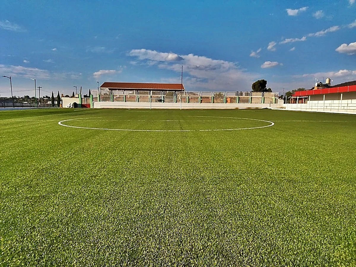 Cancha de fútbol soccer con pasto sintético en Campo de Soccer Tapaxco, Tapaxco (El Oro), Estado de México: la cancha desde la línea lateral