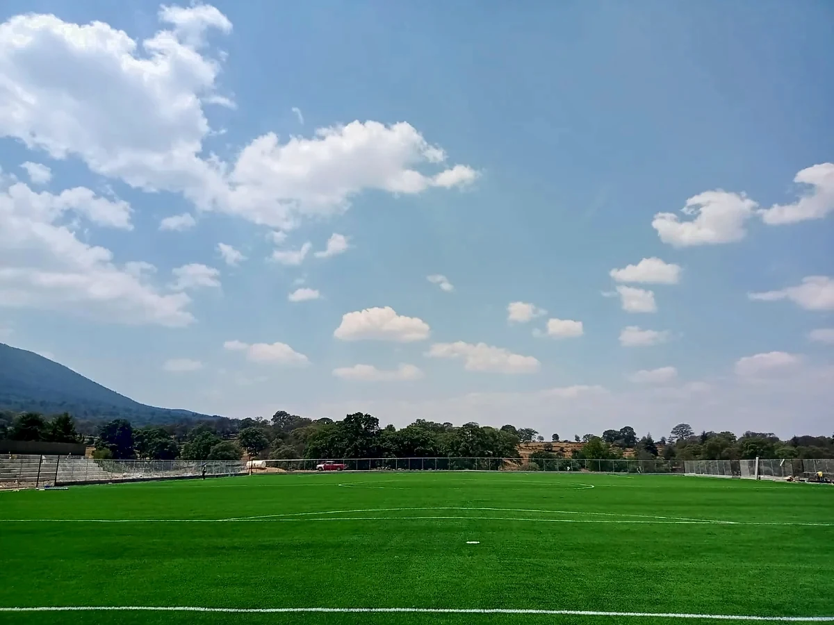 Cancha de fútbol soccer con pasto sintético en Cancha Futbol San Pedro del Rosal, Estado de México: líneas de juego insertadas en el pasto