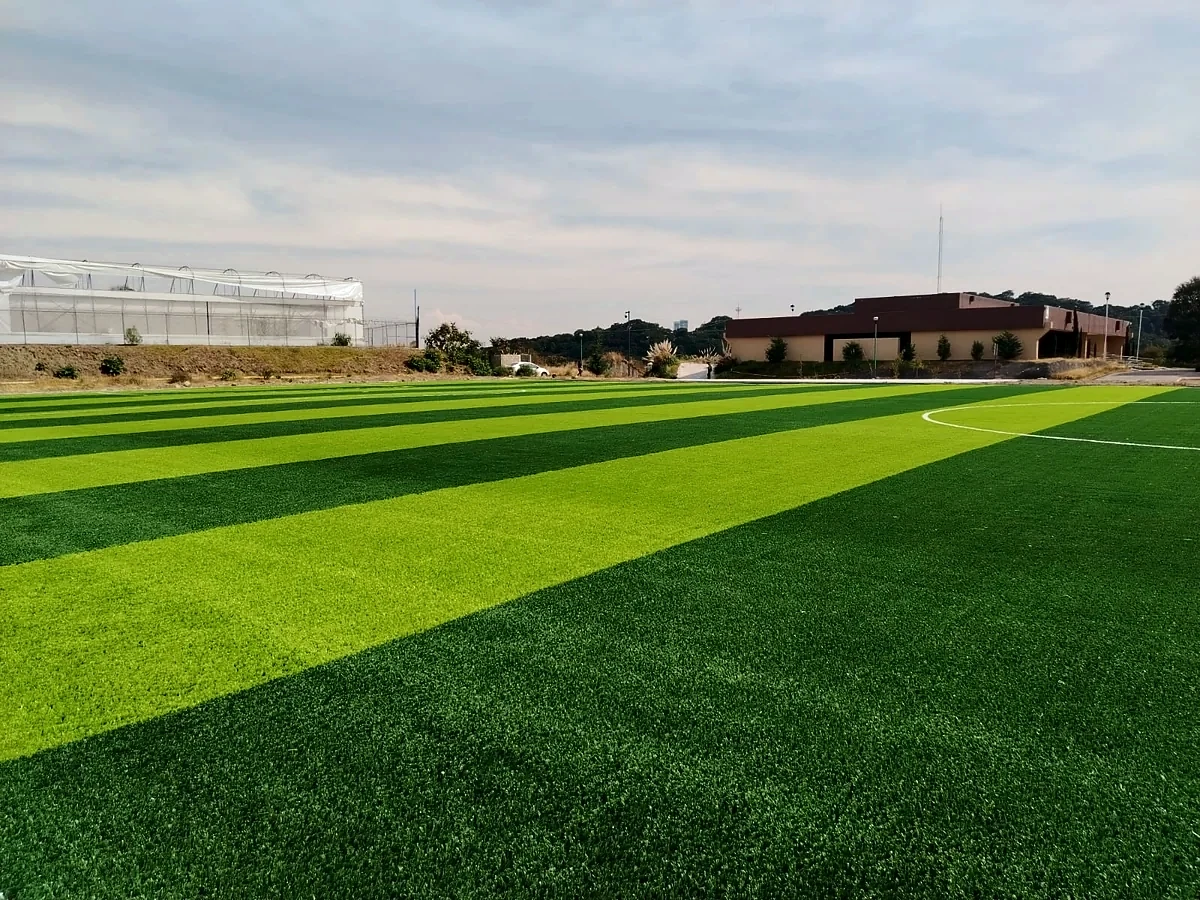 Cancha de fútbol soccer con pasto sintético en Tecnológico de Estudios Superiores de Huixquilucan, Estado de México: líneas de juego insertadas en el pasto