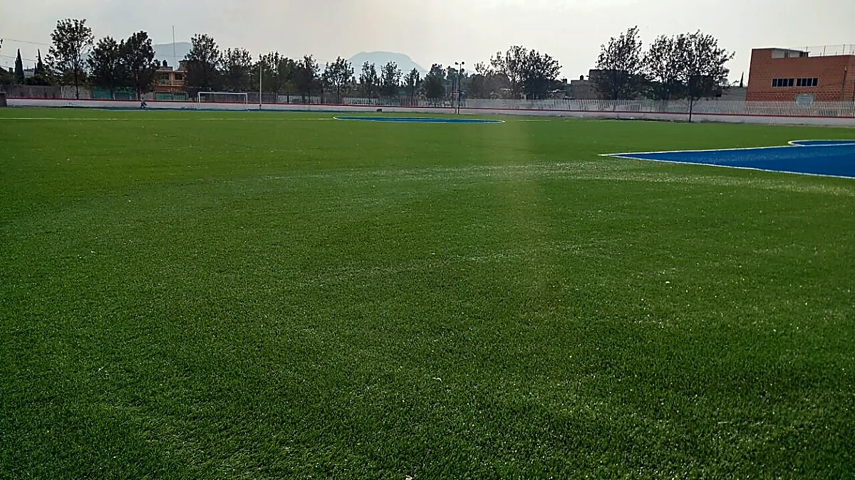 Detalle del pasto sintético de la cancha de fútbol soccer en Los Reyes La Paz, Estado de México