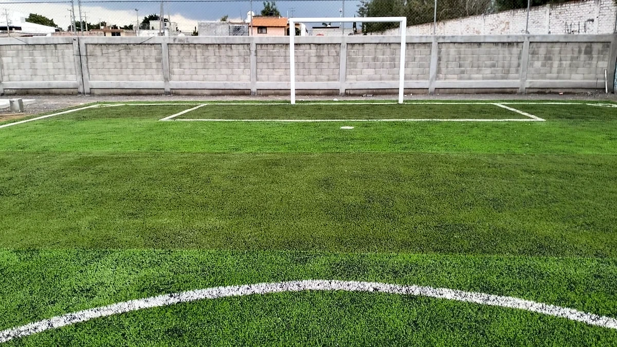 Cancha de fútbol 5 con pasto sintético en Instituto Magno Sección Preparatoria, Celaya