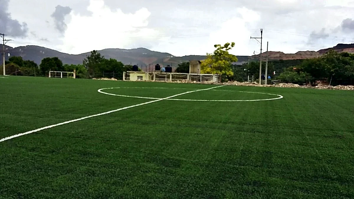 Cancha de fútbol soccer con pasto sintético en Campo Deportivo Carrizalillo, Guerrero: la cancha desde la línea lateral