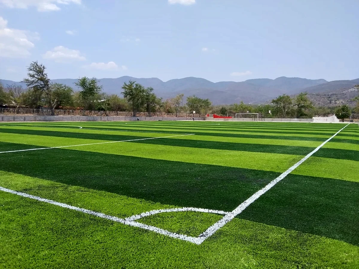 Cancha de fútbol soccer con pasto sintético en Empresa KRONON, Mártir de Cuilapan, Guerrero: vista de la cancha y su entorno
