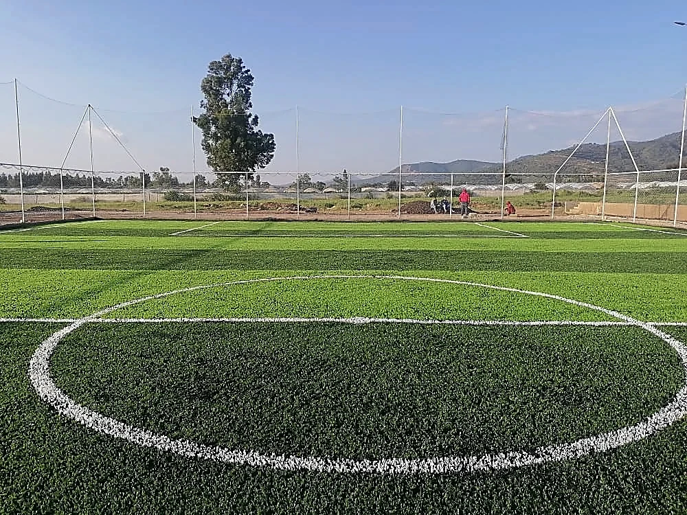 Cancha de fútbol 5 con pasto sintético en Ciudad Guzmán, Jalisco: líneas insertadas en el pasto sintético