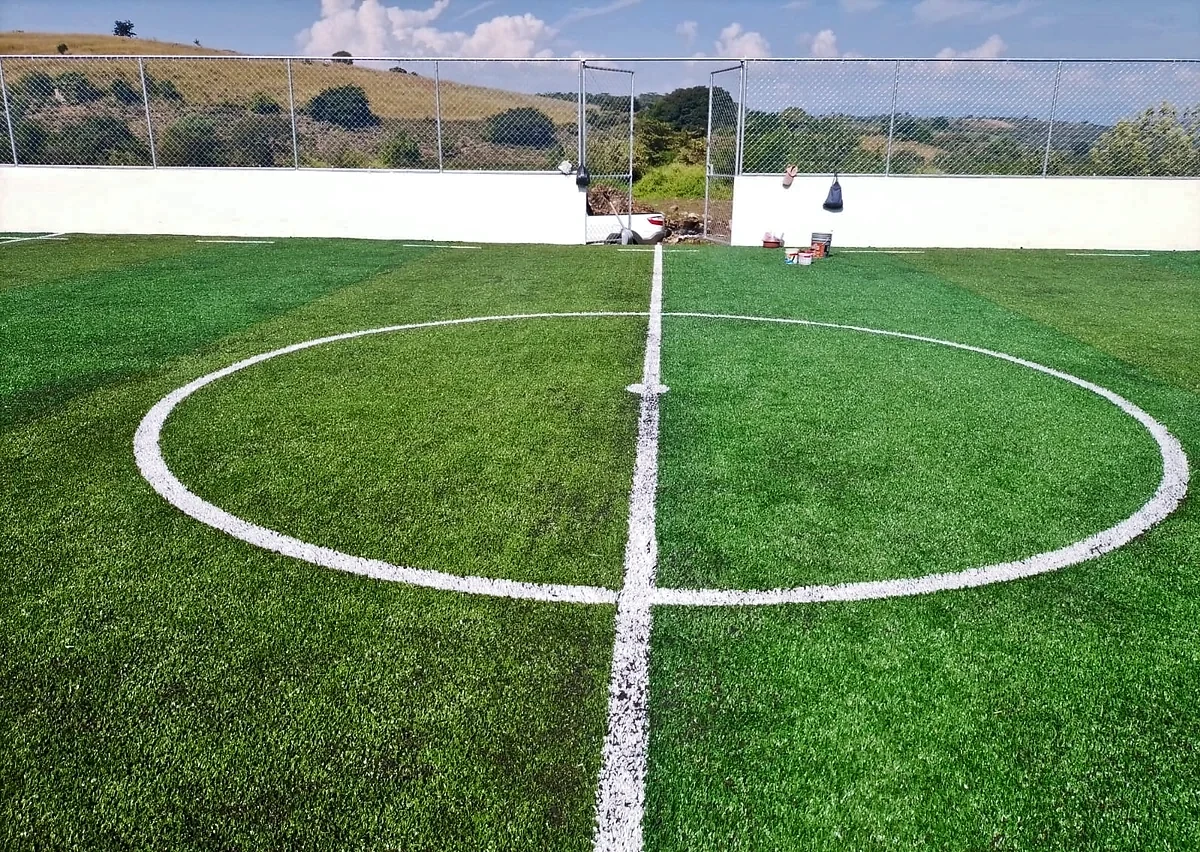 Cancha de fútbol rápido con pasto sintético en Cancha Localidad Santa Ana, Santa Ana de Guerrero, Michoacán: vista de la cancha y su entorno