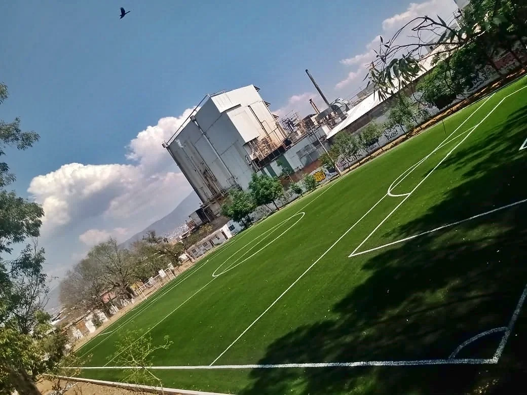 Vista en diagonal de la cancha de soccer con pasto sintético y media luna del área en el Deportivo IMDE, Morelia, Michoacán