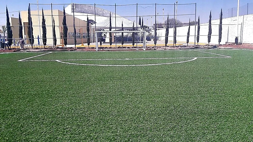 Cancha de fútbol 7 con pasto sintético en Centro Integral de Prevención y Participación Ciudadana, Puebla, Puebla: líneas de juego insertadas en el mismo pasto