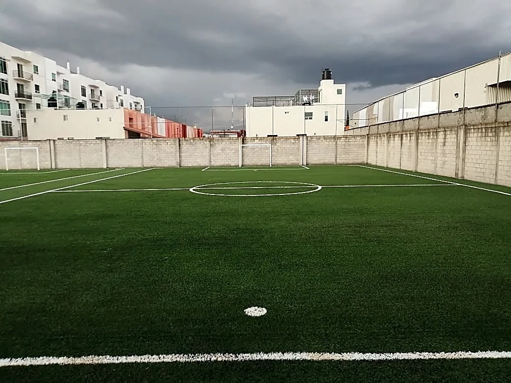 Cancha de fútbol 7 con pasto sintético en Colegio Puebla, Puebla: líneas de juego insertadas en el mismo pasto