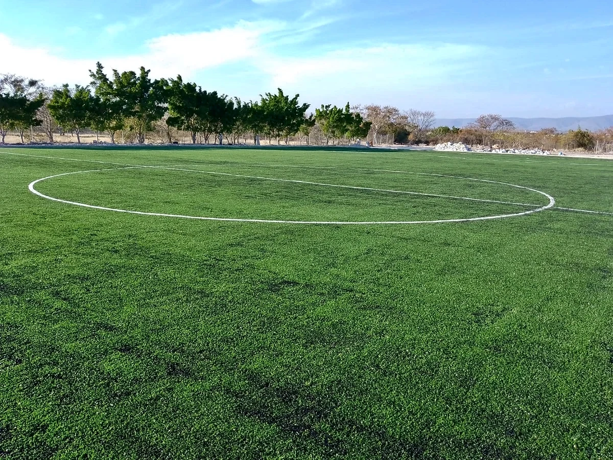 Cancha de fútbol soccer con pasto sintético en Santa Catarina Tlaltempan, Puebla: la cancha desde la línea lateral
