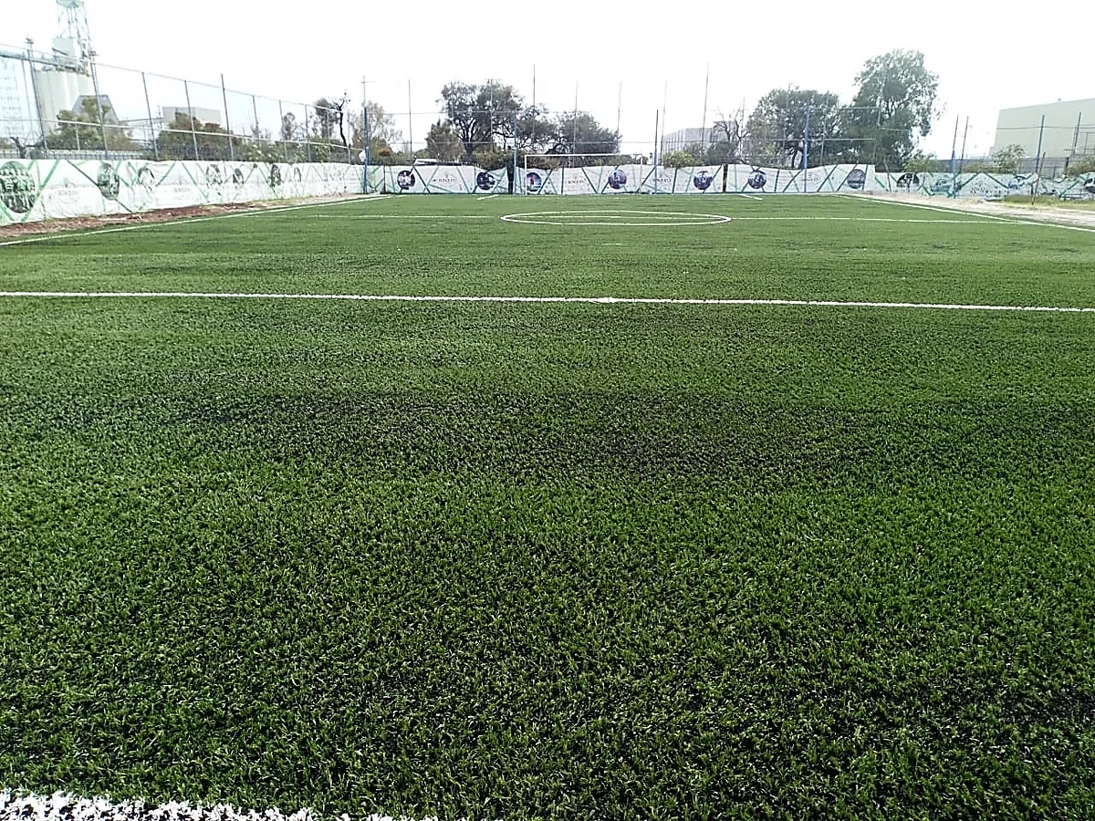 Cancha de fútbol 7 con pasto sintético en Colegio Bosques, Querétaro, Querétaro: líneas de juego insertadas en el mismo pasto