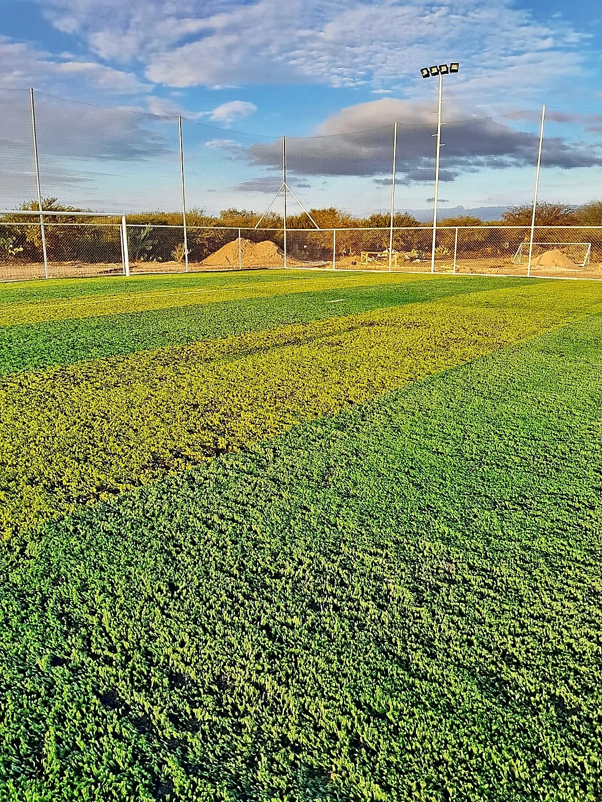 Cancha de fútbol 7 con pasto sintético en Instituto Tecnológico Superior de SLP, San Luis Potosí, San Luis Potosí: líneas de juego insertadas en el mismo pasto