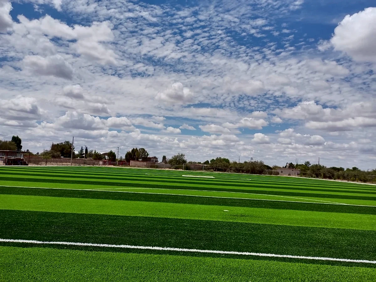 Detalle del pasto sintético de la cancha de fútbol soccer en Villa de Ramos, San Luis Potosí