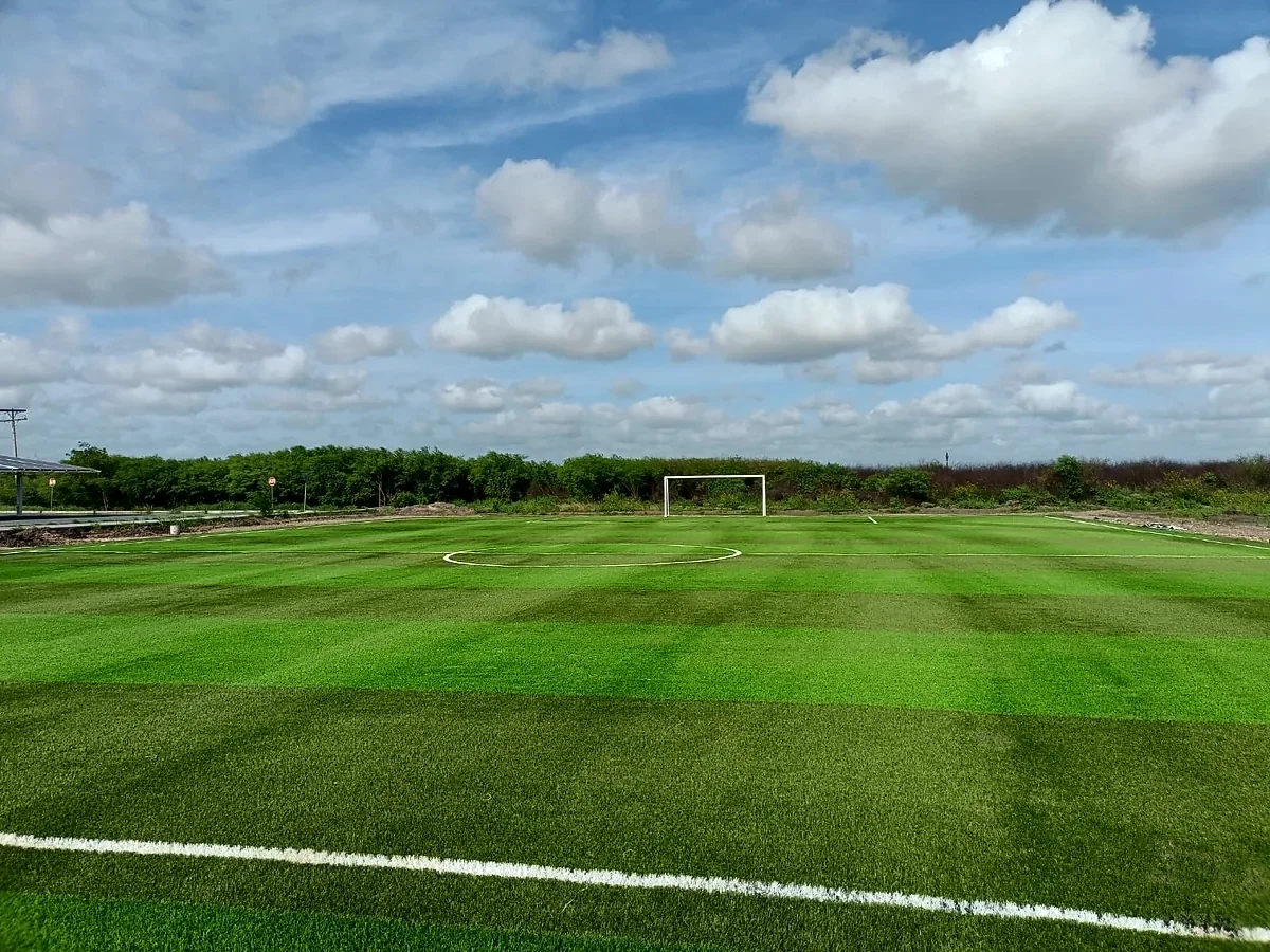 Cancha de fútbol 7 con pasto sintético en Universidad Tecnológica de Matamoros, Tamaulipas: líneas de juego insertadas en el mismo pasto