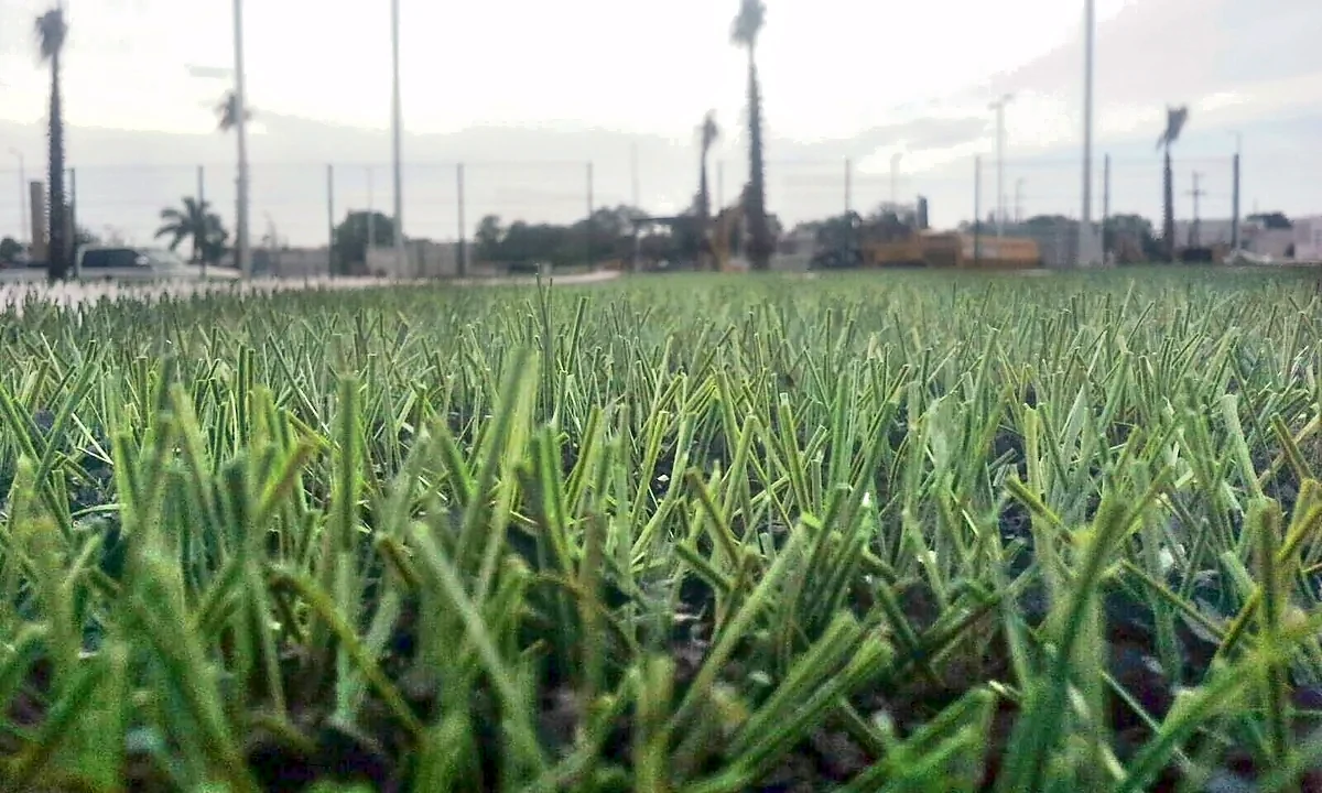 Detalle de la fibra del pasto sintético deportivo de la cancha de tochito en Ciudad Victoria, Tamaulipas