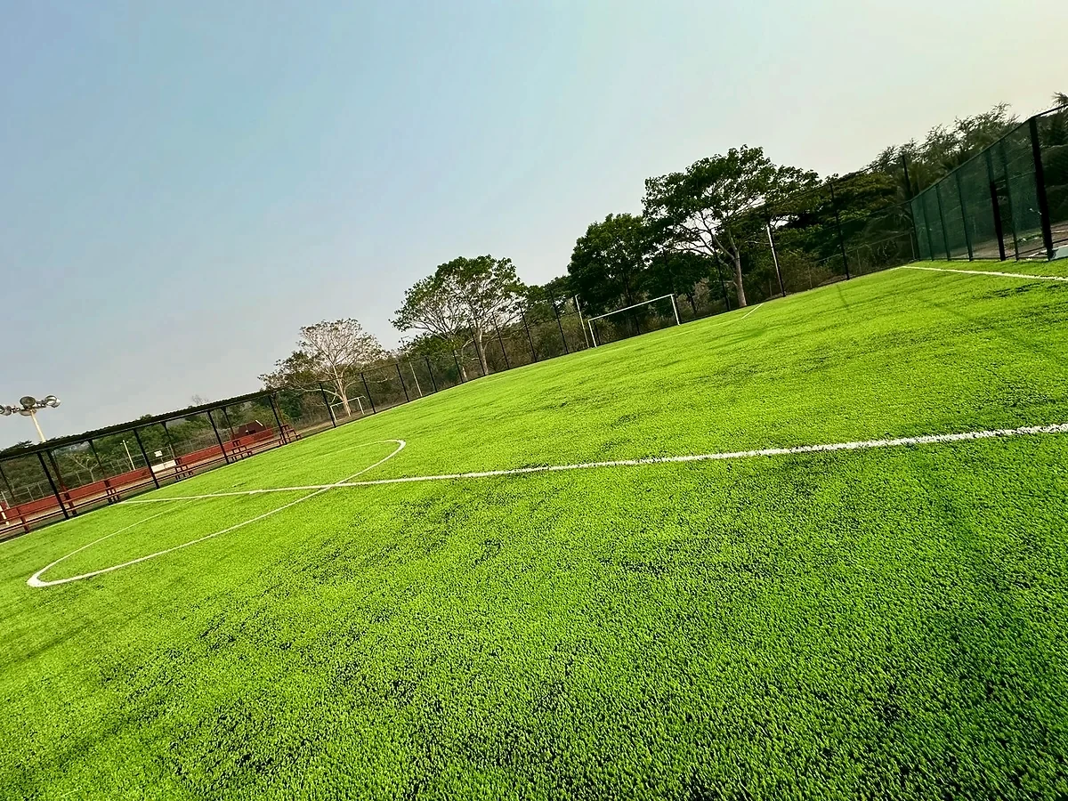 Cancha de fútbol 7 con pasto sintético en Campo de Comunidad, Paso de Ovejas, Veracruz: la cancha desde la línea lateral